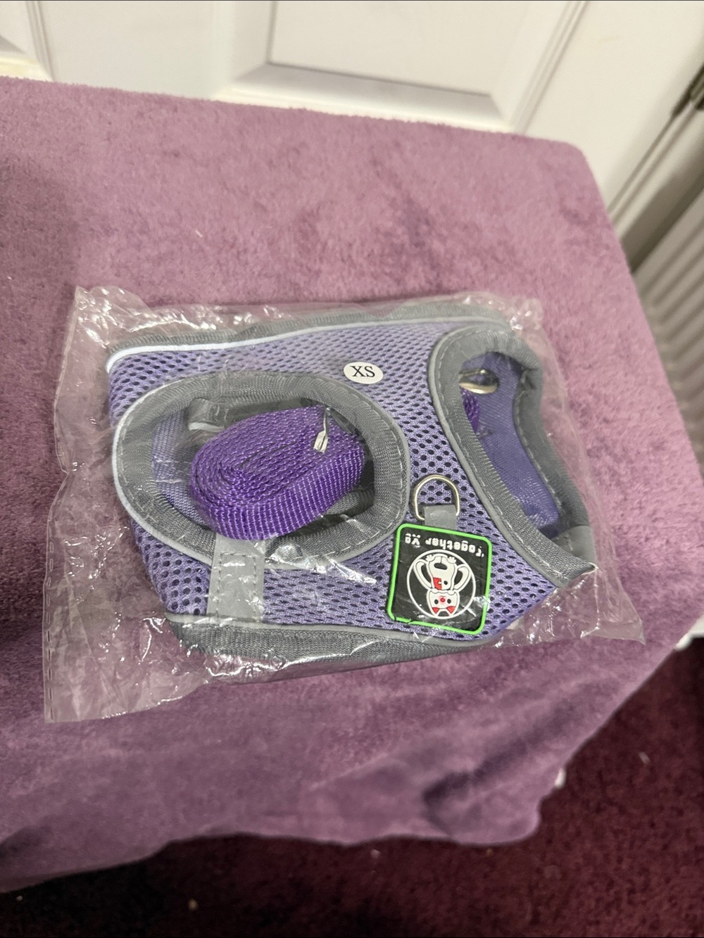 Together Purple Mesh Extra-Small Reptile Harness with Matching Leash